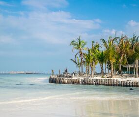 Premium Kenya'da Safari Zanzibar'da Okyanus Rotası Turu THY ile 7 Gece - Ekstra Turlar Dahil