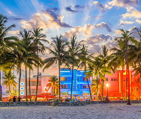 Miami - Orlando - New York Turu THY ile 7 Gece