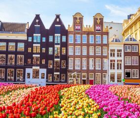 Elit Hollanda Amsterdam Turu THY ile 4 Gece Ramazan Bayramı Dönemi Ekstra Turlar Dahil