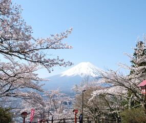 Sakura Dönemi Japonya - Kore Turu THY ile 7 Gece