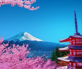 Sakura Dönemi Japonya - Kore Turu THY ile 7 Gece