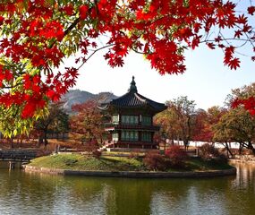 Sakura Dönemi Japonya - Kore Turu THY ile 7 Gece