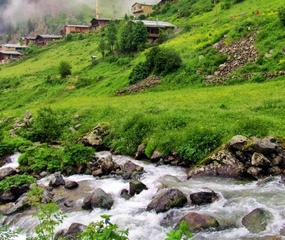 Doğu Karadeniz Yaylalar ve Maçahel Turu Mosa Bungalow Konaklamalı Ulaşımsız 3 Gece Ramazan Bayramı Özel