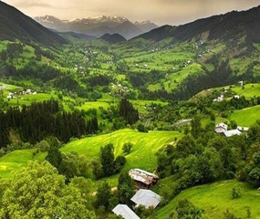 Doğu Karadeniz Yaylalar ve Maçahel Turu Mosa Bungalow Konaklamalı Ulaşımsız 3 Gece Ramazan Bayramı Özel