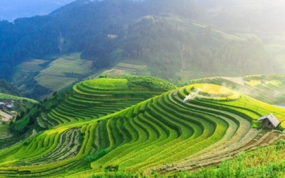 Harikalar Diyarı Bali'de Deniz Ubud'da Kültür Turu THY ile 6 Gece