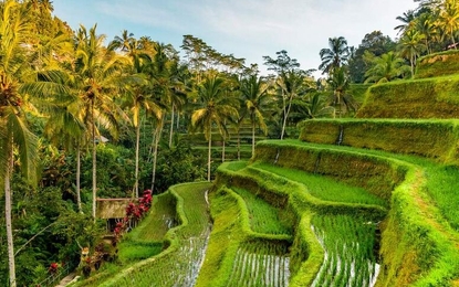 Harikalar Diyarı Bali'de Deniz Ubud'da Kültür Turu THY ile 6 Gece