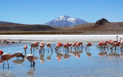 Peru - Bolivya - Şili Ateşli Rotalar Turu - Air France HY ile 9 Gece