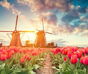 İzmir'den Direkt Sefer ile Süper Amsterdam Turu SunExpress HY ile 3 Gece