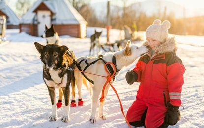 Sömestre Özel Lapland Kuzey Işıkları Gezisi Turu - THY ile 4 Gece