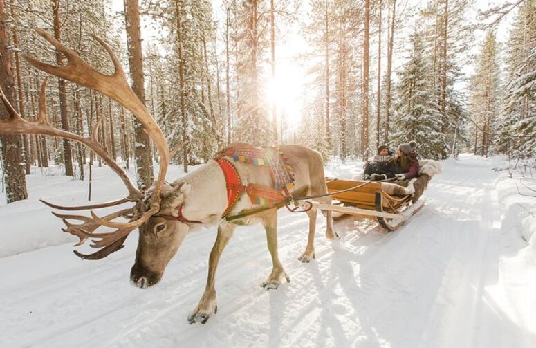 Sömestre Özel Lapland Kuzey Işıkları Gezisi Turu - THY ile 4 Gece