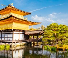 Elegant Japonya Turu Qatar Havayolları ile 7 Gece Koyo Dönemi Ekstra Turlar Dahil