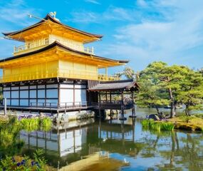Elegant Japonya Turu Qatar Havayolları ile 7 Gece Koyo Dönemi Ekstra Turlar Dahil