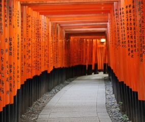 Elegant Japonya Turu Qatar Havayolları ile 7 Gece Koyo Dönemi Ekstra Turlar Dahil
