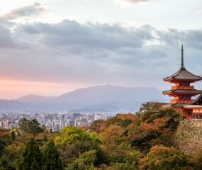 Elegant Japonya Turu Qatar Havayolları ile 7 Gece Koyo Dönemi Ekstra Turlar Dahil