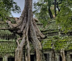 Vietnam - Kamboçya Turu Renkli Rotalar Turu THY ile 8 Gece