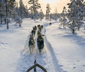 Süper Promo Lapland Beyaz Rotalar Turu - THY ile 3 Gece
