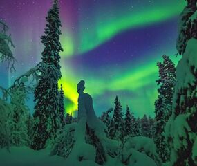 Süper Promo Lapland Beyaz Rotalar Turu - THY ile 3 Gece
