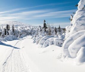 Süper Promo Lapland Beyaz Rotalar Turu - THY ile 3 Gece