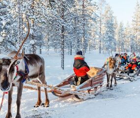 Lapland Beyaz Rotalar Turu - THY ile 2 Gece Tüm Turlar Dahil