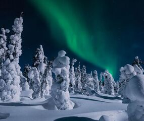 Lapland Beyaz Rotalar Turu - THY ile 2 Gece Tüm Turlar Dahil