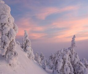 Lapland Beyaz Rotalar Turu - THY ile 2 Gece Tüm Turlar Dahil