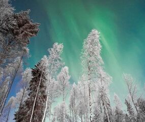 Lapland Beyaz Rotalar Turu - THY ile 2 Gece Tüm Turlar Dahil