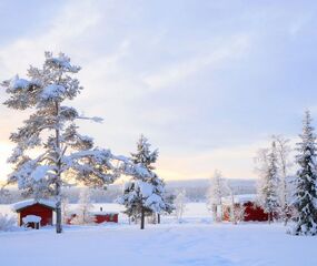 Lapland Beyaz Rotalar Turu - THY ile 2 Gece Tüm Turlar Dahil