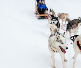 Lapland Beyaz Rotalar Turu - THY ile 2 Gece Tüm Turlar Dahil