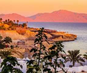 Sharm El Sheikh - Kızıldeniz Rotası Turu THY ile 4 Gece -  Rixos Oteller