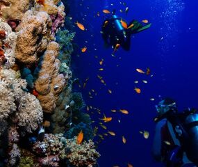 Sharm El Sheikh - Kızıldeniz Rotası Turu THY ile 4 Gece -  Rixos Oteller