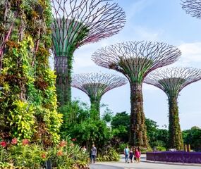 Bangkok - Pattaya - Phuket Tayland'ın İncisi Rotası Turu THY ile 6 Gece