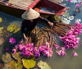 Vietnam - Kamboçya Renkli Rotalar Turu THY ile 7 Gece