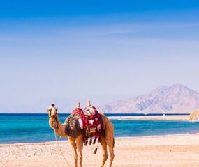 Mısır - Hurghada Deniz Kum Güneş Rotası Turu (Rixos Premium Magawish - Ultra Herşey Dahil) THY ile 7 Gece