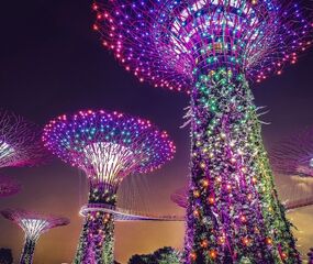 Singapur - Bali - Kuala Lumpur İkonik Rotalar Turu THY ile 7 Gece