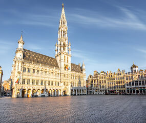 Benelux - Paris Turu - Pegasus HY ile 7 Gece - Kış Dönemi - 26 Mart Hareketli