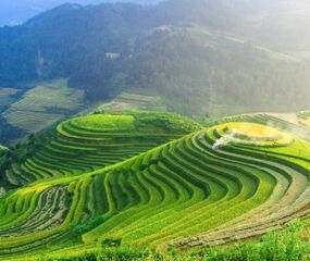 Harikalar Diyarı Bali'de Deniz Ubud'da Kültür Turu THY ile 5 Gece