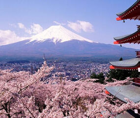 Japonya ve Kore Mistik Rotalar Turu THY ile 7 Gece Yaz Dönemi