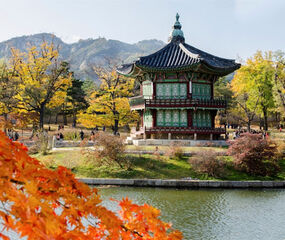 Japonya ve Kore Mistik Rotalar Turu THY ile 7 Gece Yaz Dönemi