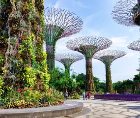 Kuala Lumpur - Singapur - Bali İkonik Rotalar Turu  THY ile 7 Gece