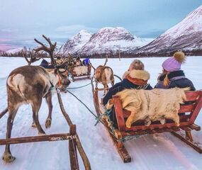 Hurtigruten Keşif Gemisi ile Lapland & Norveç Turu - THY ile 9 Gece 