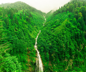 Doğu Karadeniz Yaylalar Turu Pegasus HY ile 3 Gece Hergün Kesin Hareketli