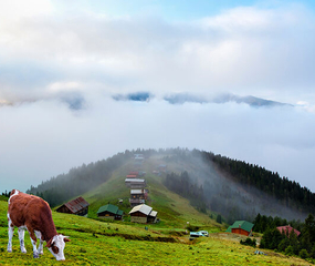 Doğu Karadeniz Yaylalar Turu Pegasus HY ile - 4 Gece Hergün Kesin Hareketli