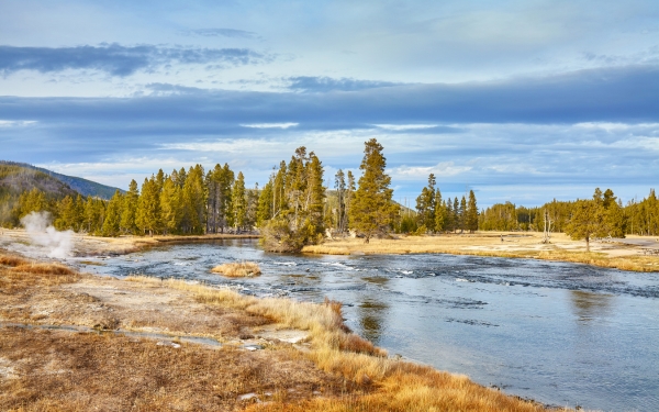 Yellowstone Ulusal Parkı