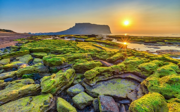 Jeju Adası