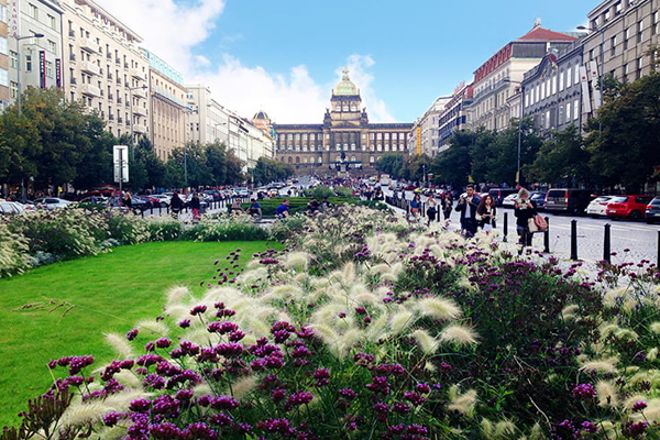 Wenceslas Meydanı