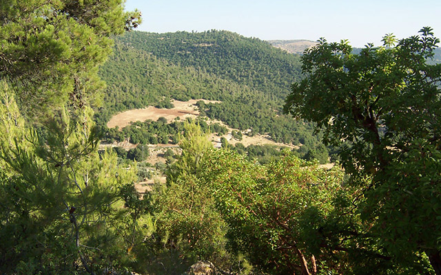 Ajloun